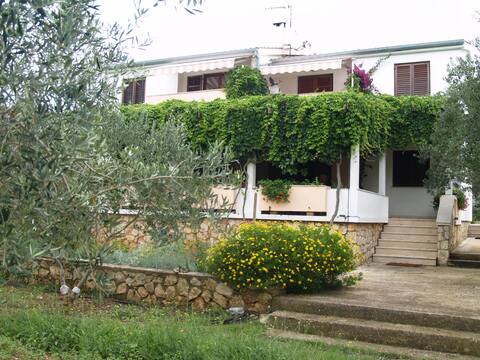 Maslinski dvori (Apartment 3)