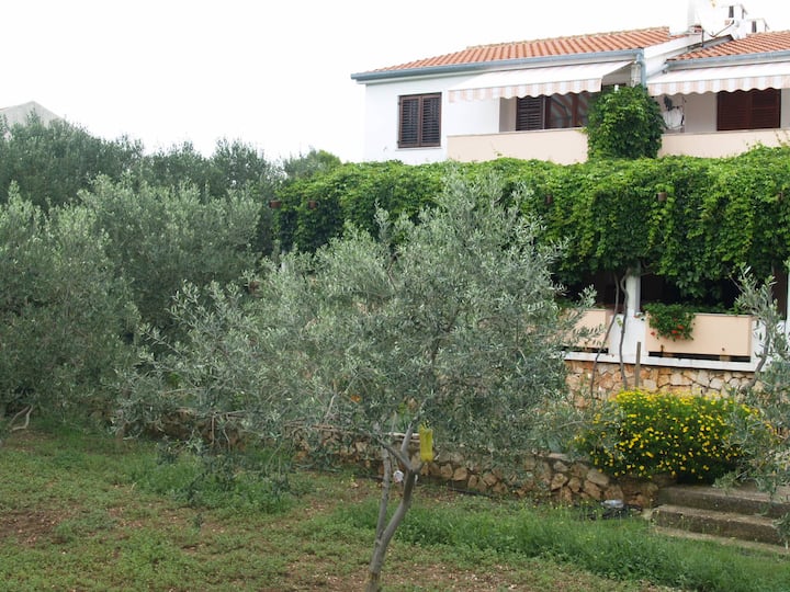 Maslinski dvori (Apartment 4)
