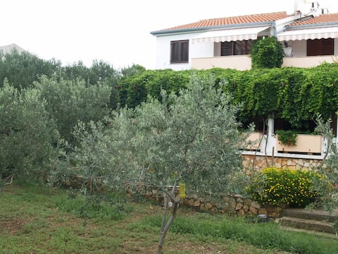 Maslinski dvori (Apartment 4)