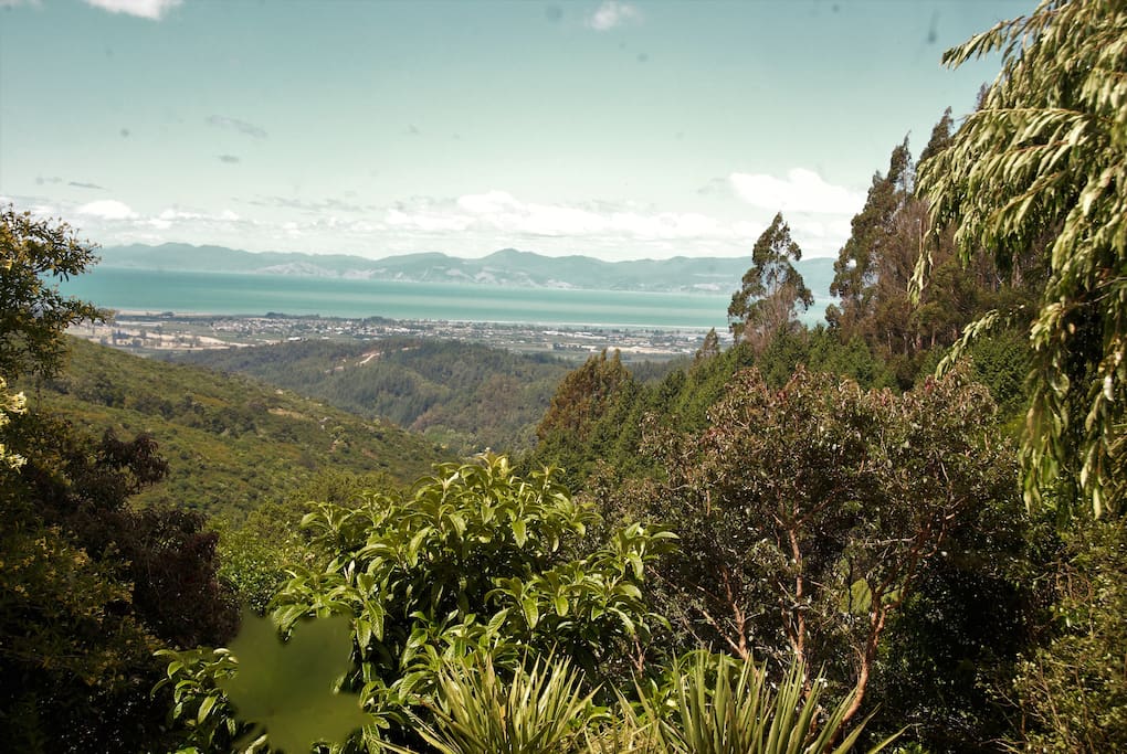 View from your bed over Tasman Bay