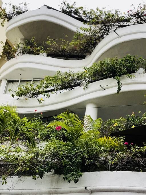 Villa Blanca, The Wedding Cake, was designed by Mexican architect, Diego Mendez de la Penas. Villa Blanca is also sometimes referred to as the Baby Grand