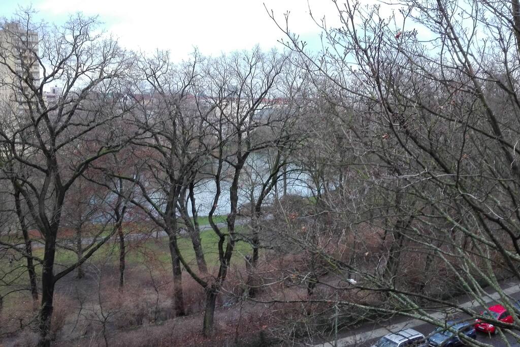Blick vom Balkon