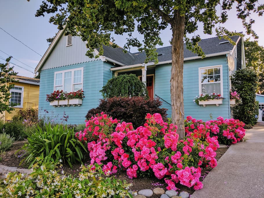 Charming 3 Bd 2 Ba Ideal Location Houses for Rent in San Carlos