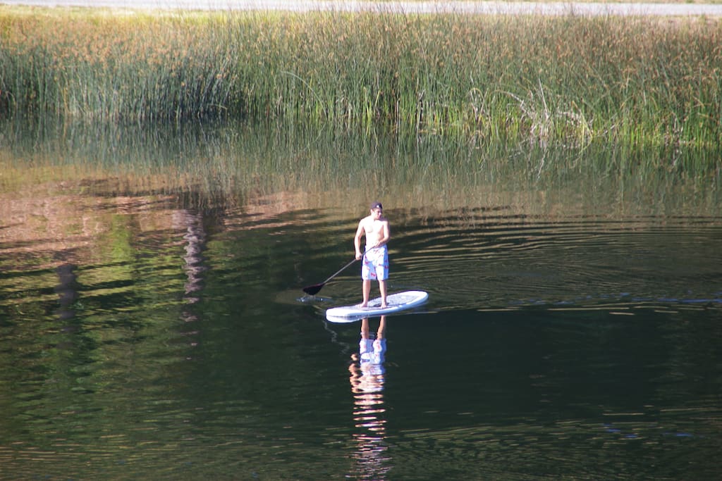 Paddle boarding on the lake