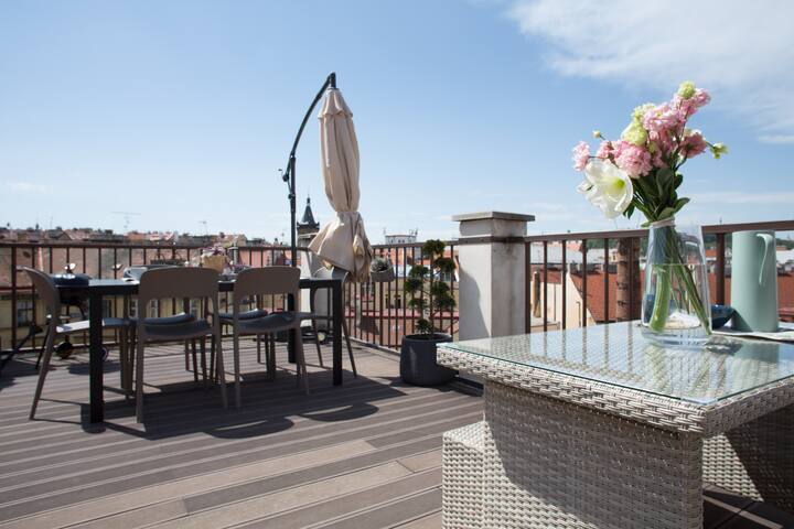 UNIQUE heavenly DUPLEX, Prague 1, ROOF TOP TERRACE