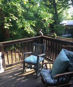 Comfort & Cabbagetown