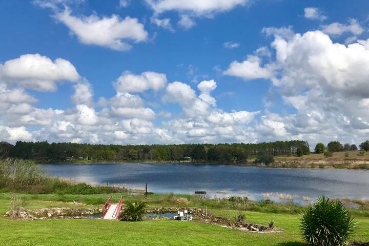 Newly Remodeled Lakeside Cottage in Mt. Dora, FL!!