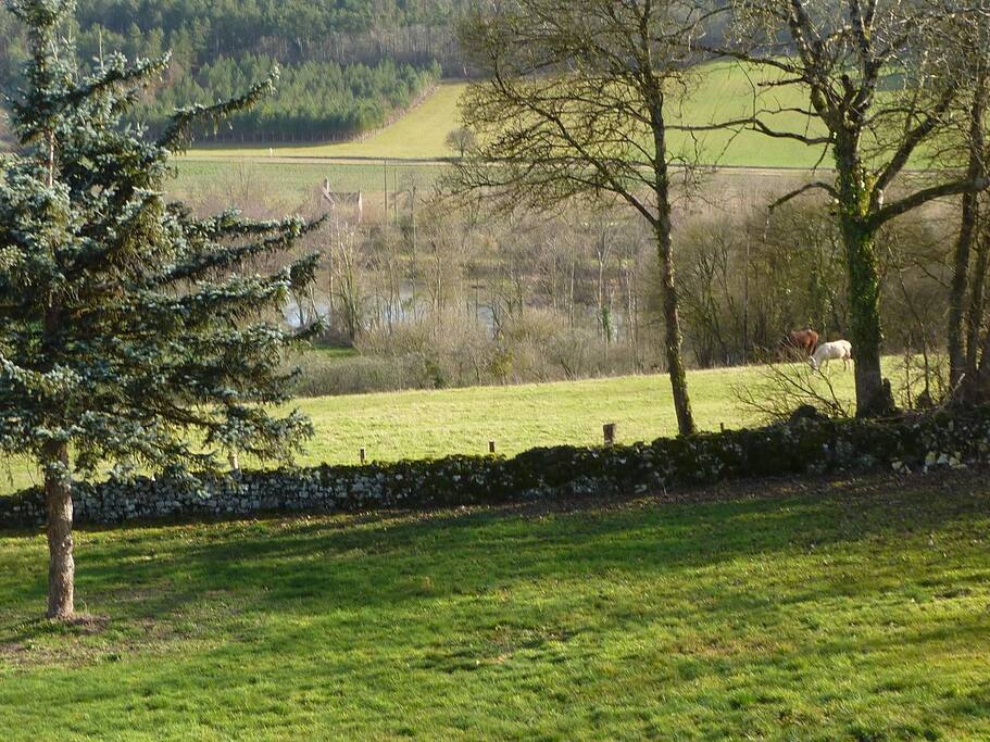 Le terrain et la vallée