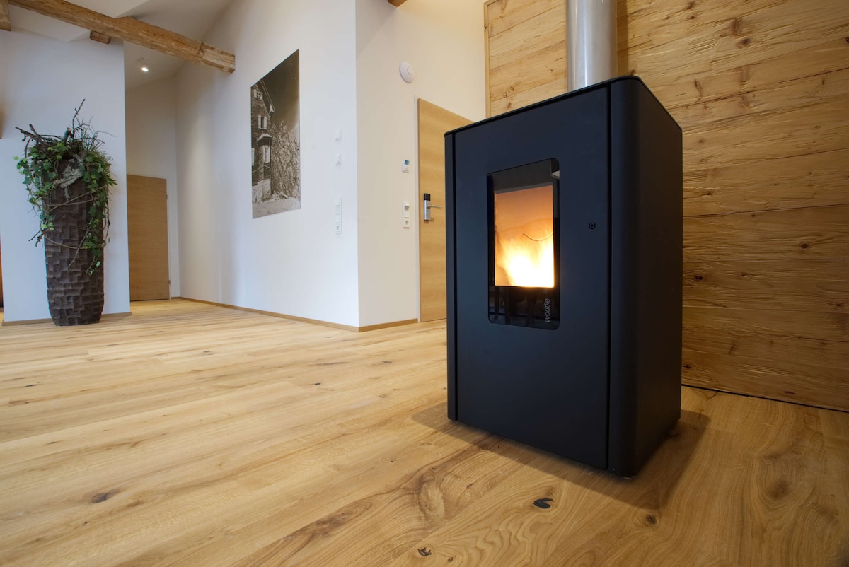 A modern pellet stove is positioned in the corner of a spacious room, its glass front displaying a warm flame. The room features wooden flooring and light-colored walls, complemented by natural wood beams and a plant arrangement nearby.