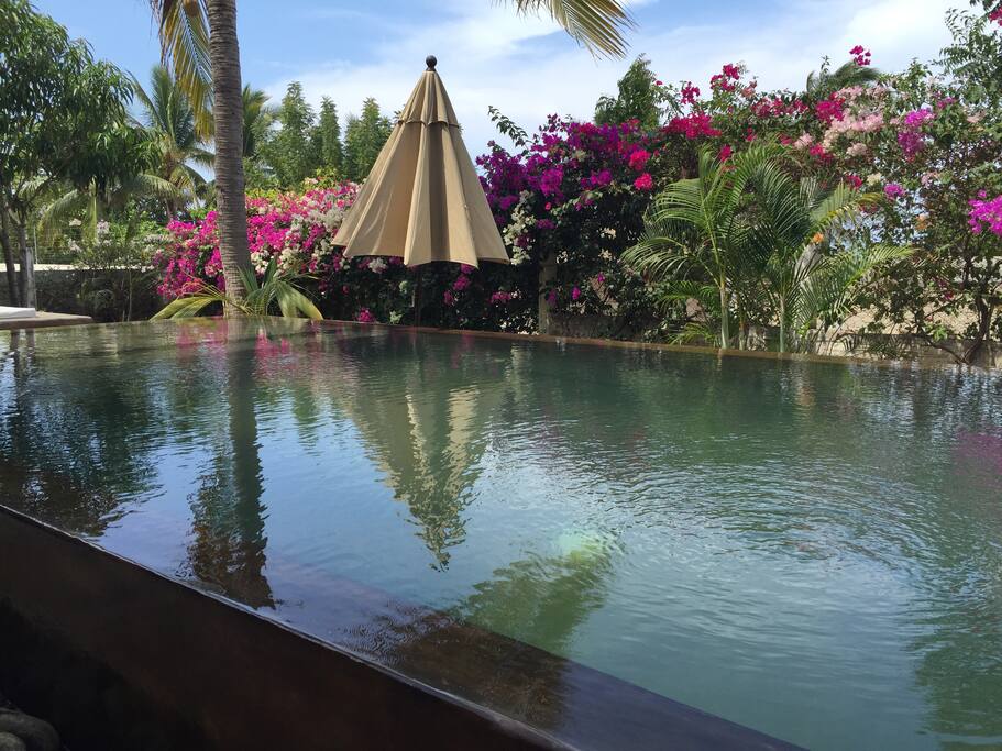 The pool.