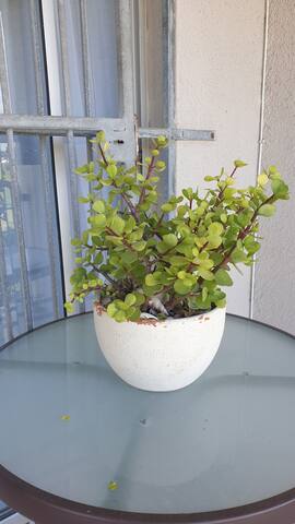 cozy corner gallery image 4