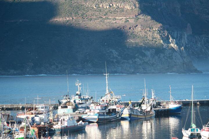 UNIQUE LUXURY BEACHSIDE APARTMENT