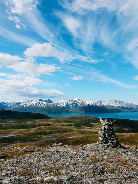 Show full-screen, host-provided image