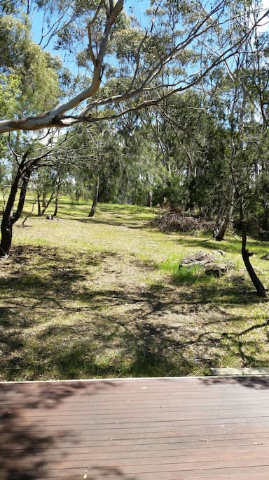 Stunning bush reserve view to enjoy from the deck/door.