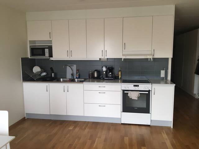 COMPLETELY EMPTY 2 room flat OCTOBER ONLY