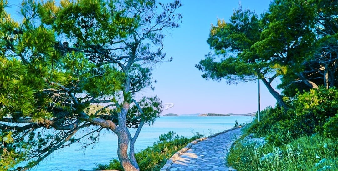 A serene path lined with lush greenery leads toward a calm sea. Trees with broad branches provide shade, while the clear blue water glimmers under daylight. The tranquil atmosphere invites leisurely walks and exploration.