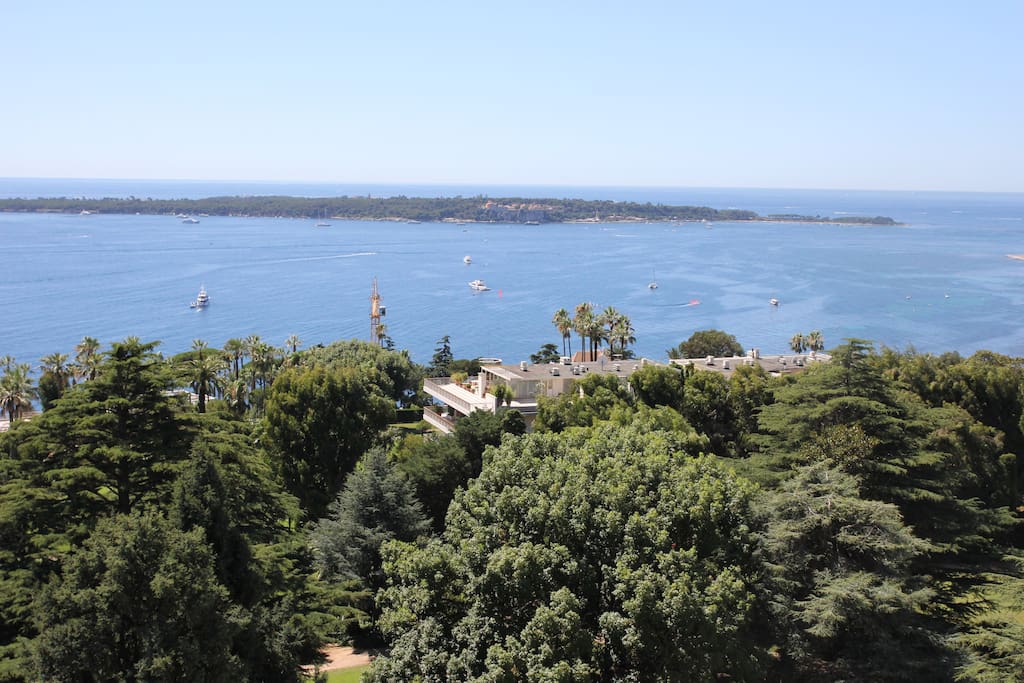 View from the terrace