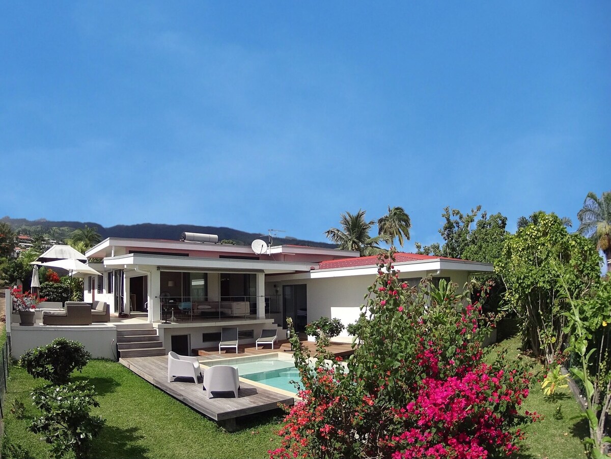 A well-maintained house features a spacious layout with a swimming pool surrounded by greenery. Colorful flowering plants enhance the outdoor space, while seating is available on a wooden deck. The clear blue sky complements the tranquil atmosphere, inviting relaxation and enjoyment.