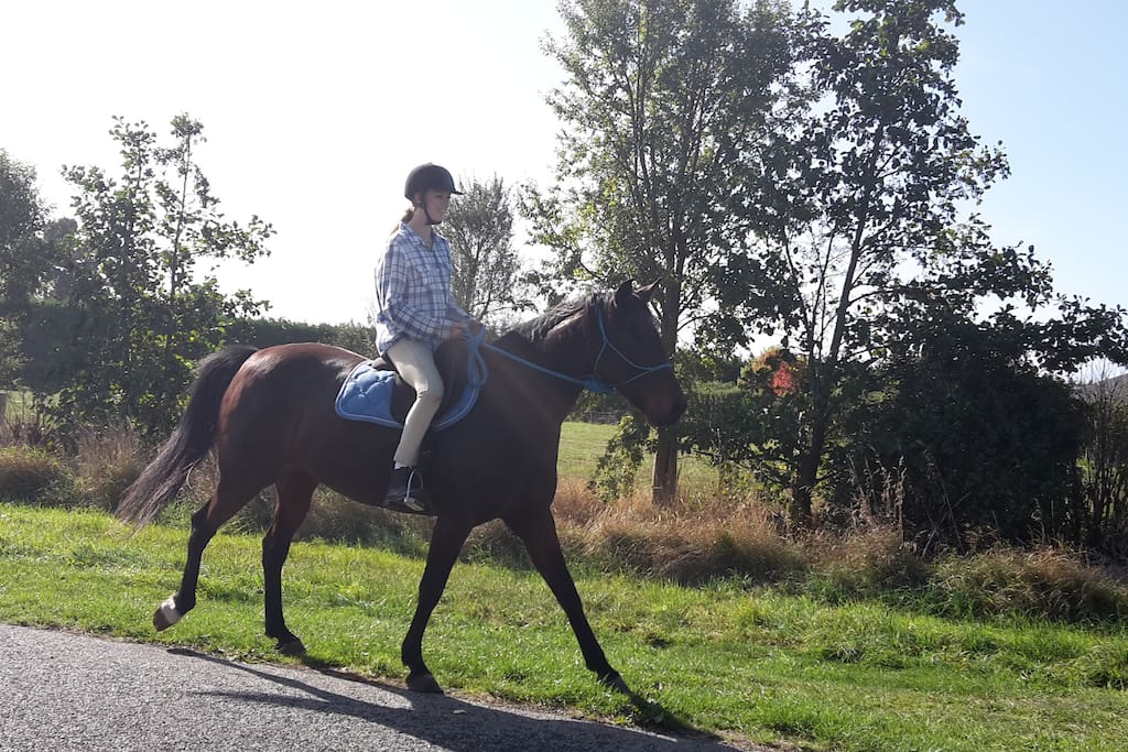 Horse riding available (pre booked)
