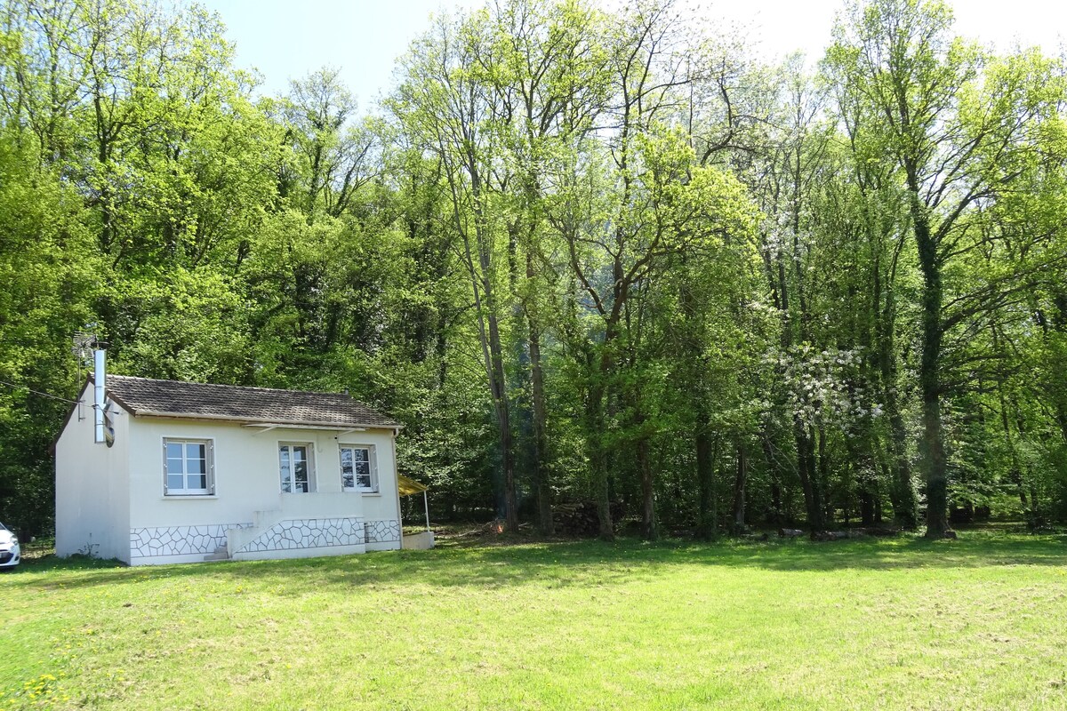 A charming white cottage is nestled within a lush green landscape. Tall trees frame the property, providing a serene backdrop. The well-manicured lawn stretches in front of the home, contributing to the peaceful ambiance of the surroundings.