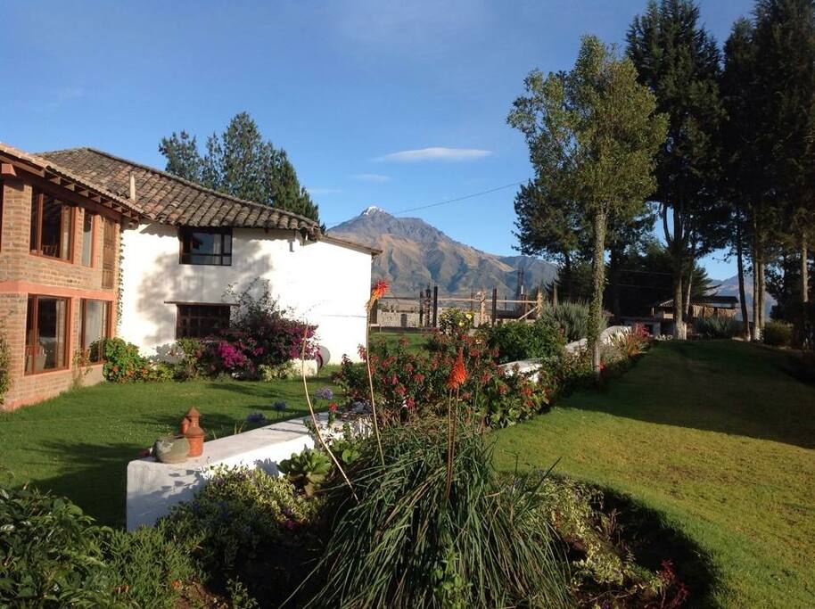 Garden area