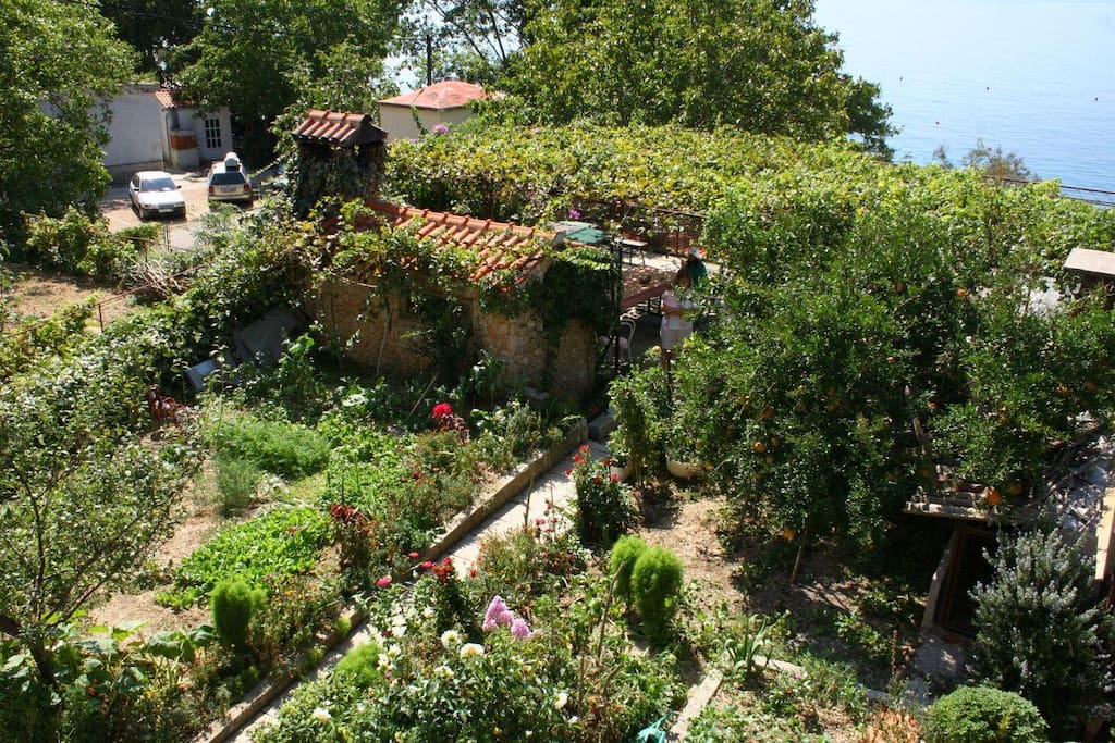 courtyard