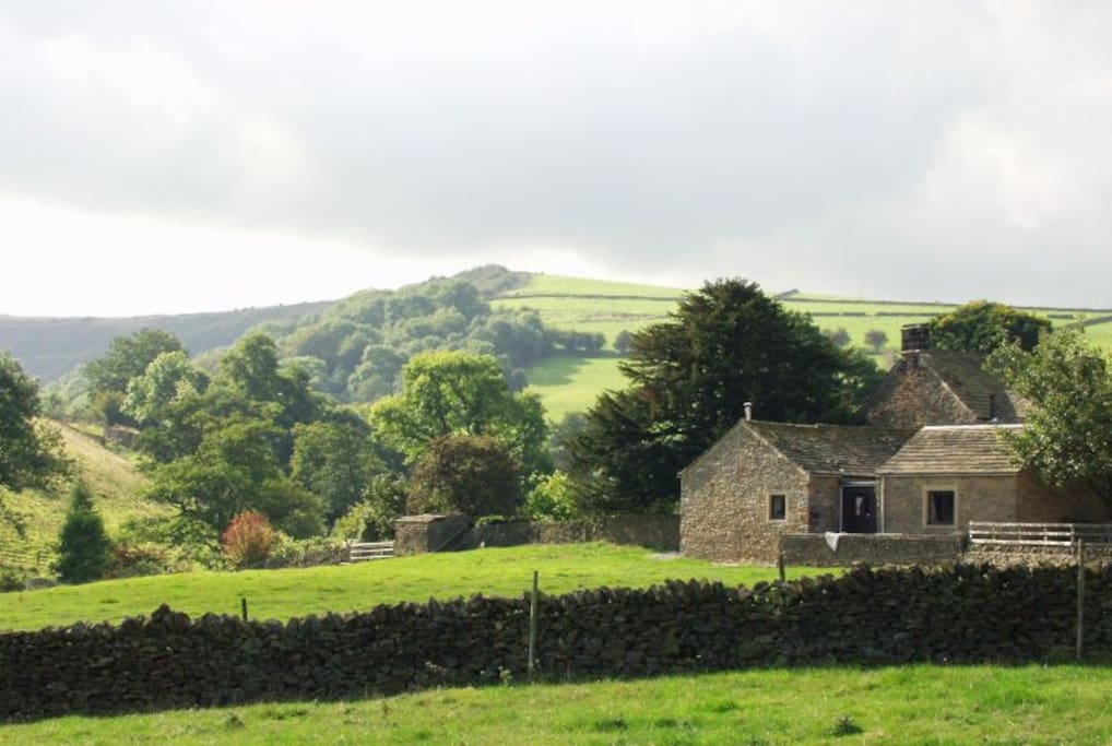 Paddock Cottage Exterior