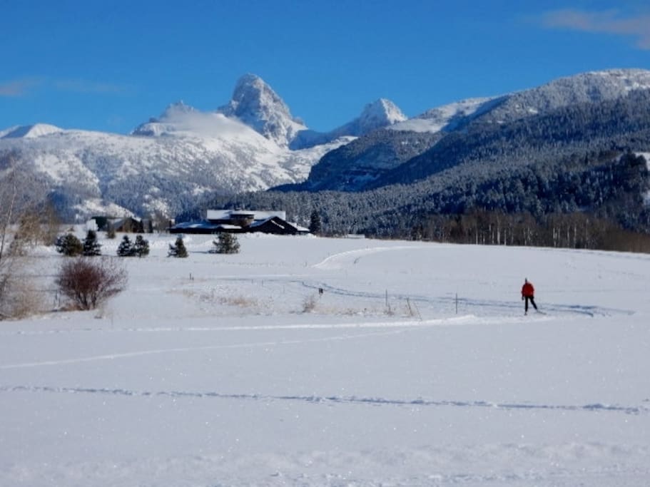 The nordic ski track just off the back patio!