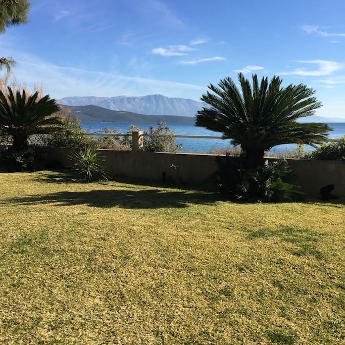 Garden in front of the room p2
