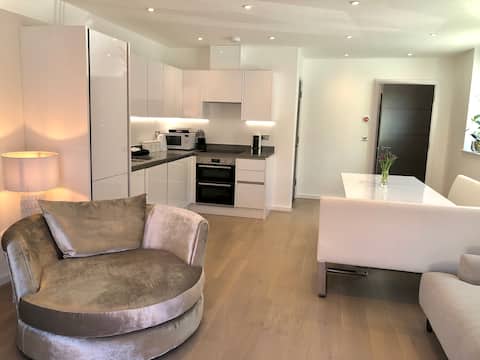Bringing Sexy Back! Stunning Modern Townhouse CH1
