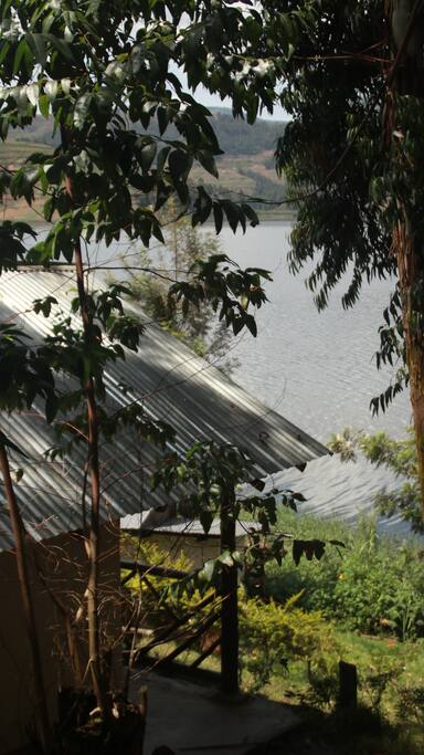 View of the lake from Lion Cottage veranda