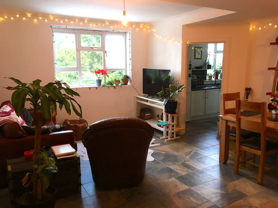 The living and dining room