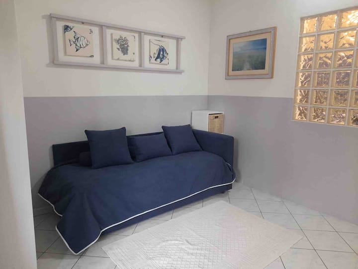 Appartamento Ristrutturato Con Ampia Terrazza - Forte dei Marmi