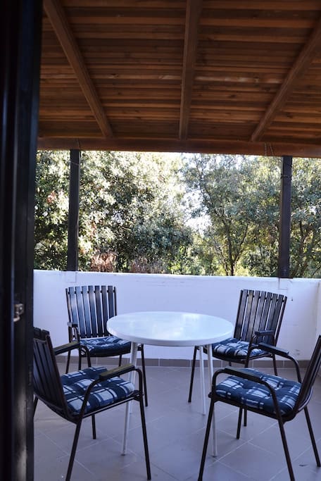 Terrace overlooking the pine forest