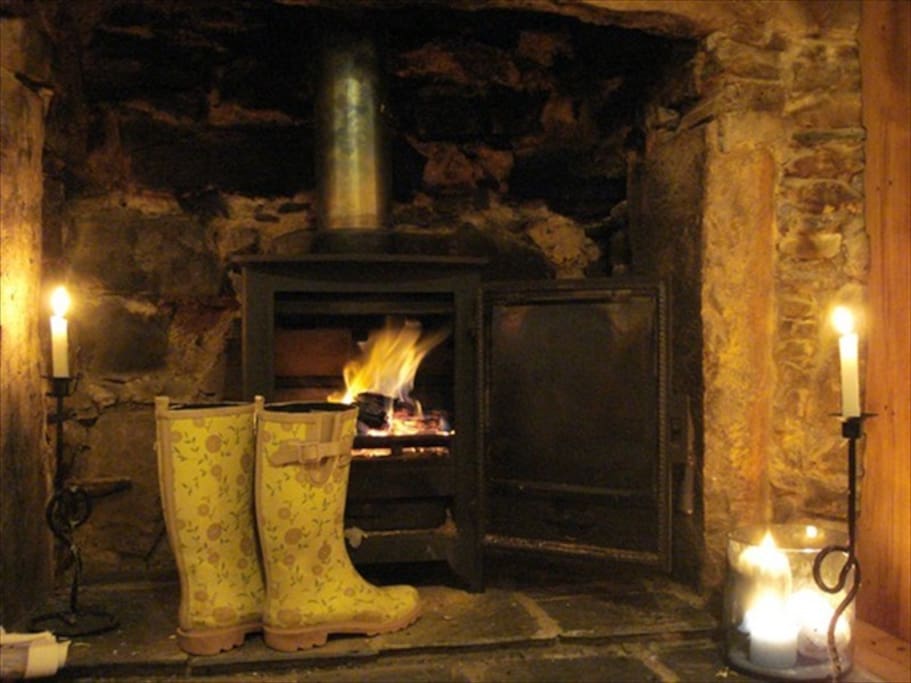 Cosy log fire