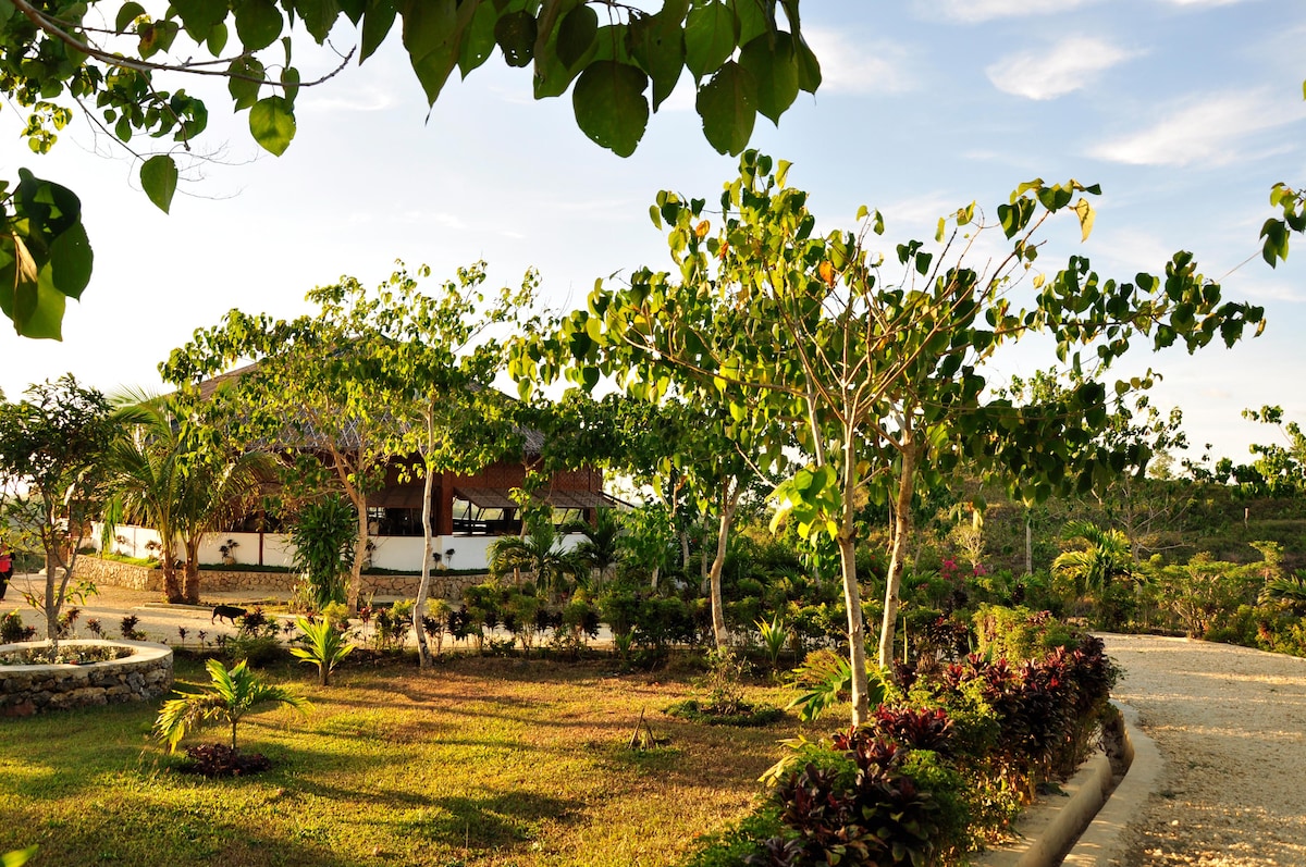 The outdoor area features a well-maintained garden with a variety of trees and shrubs surrounding a private home. Sunlight casts a warm glow on the lush greenery, creating a serene atmosphere. A pathway meanders through the garden, guiding towards the entrance of the house.