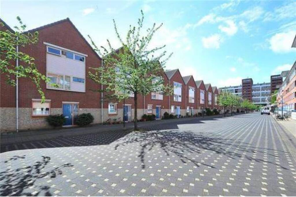 The (car free) Street in front of the house