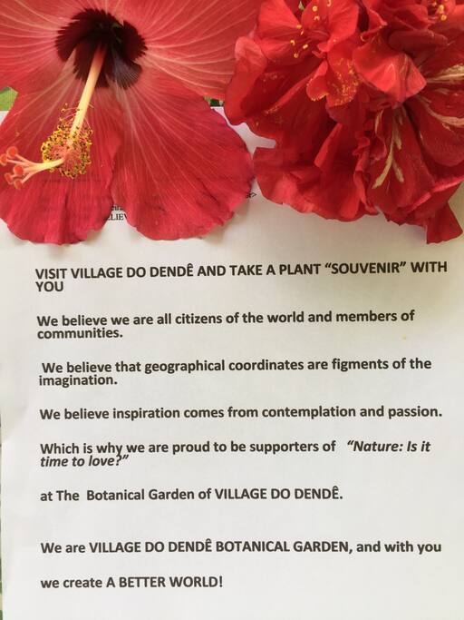Seeds and plants as gifts for our guests