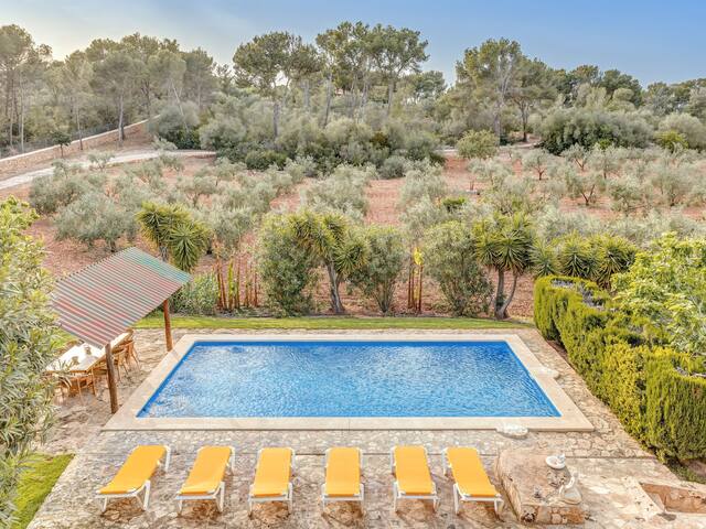 El Bosque gallery image 4