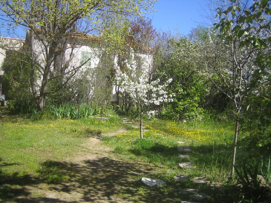 Jardin au mois de mars