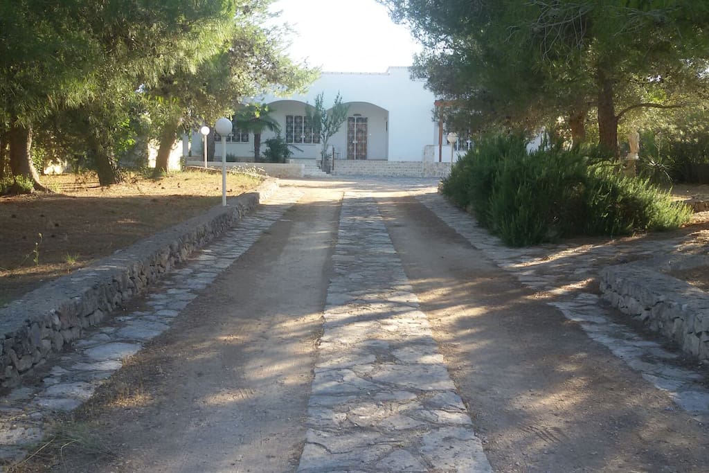 Viale d'Ingresso della villa