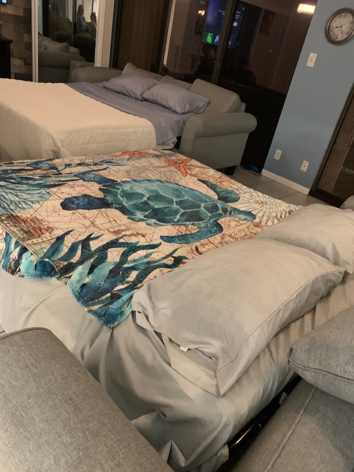 Second bedroom converted into a big living room with 2 queen comfortable sofa beds. There’s comforters, blankets and pillows for your sofa beds in the closet behind the TV in the living room and the master Bedroom 