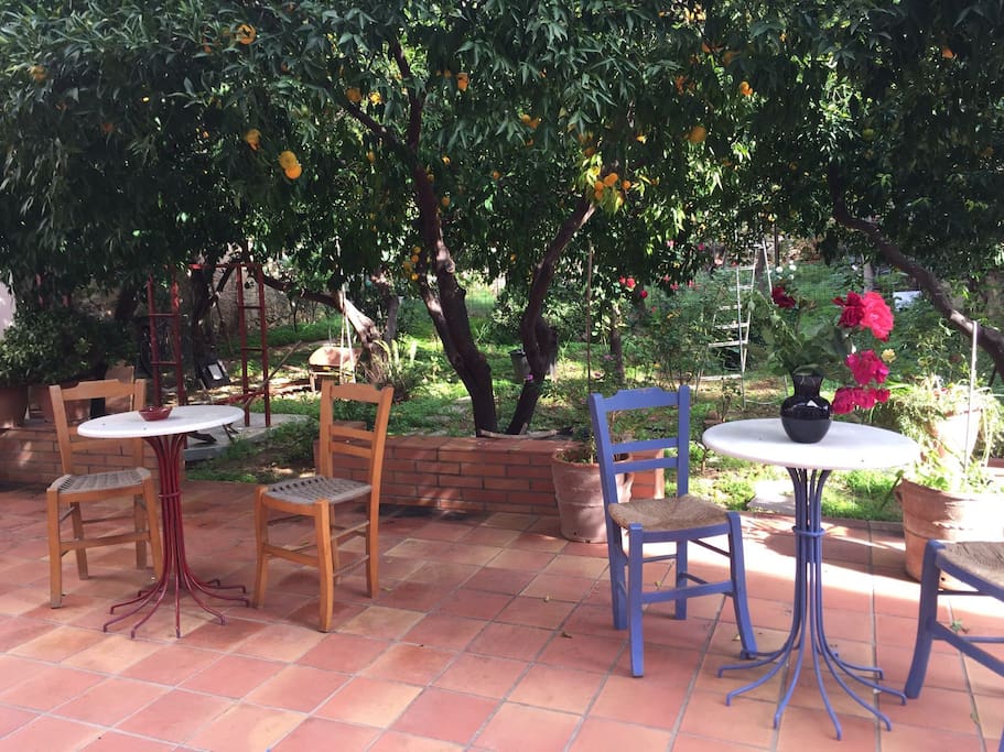 garden
