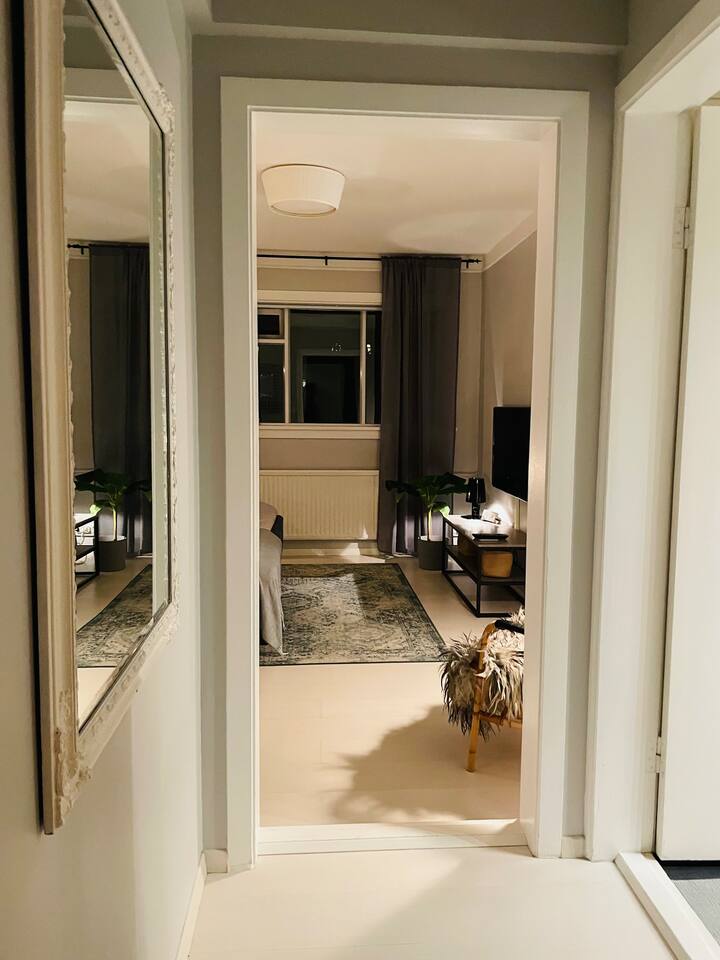 Top 10 LongTerm Rentals In Reykjavík, Iceland Updated 2024 Trip101