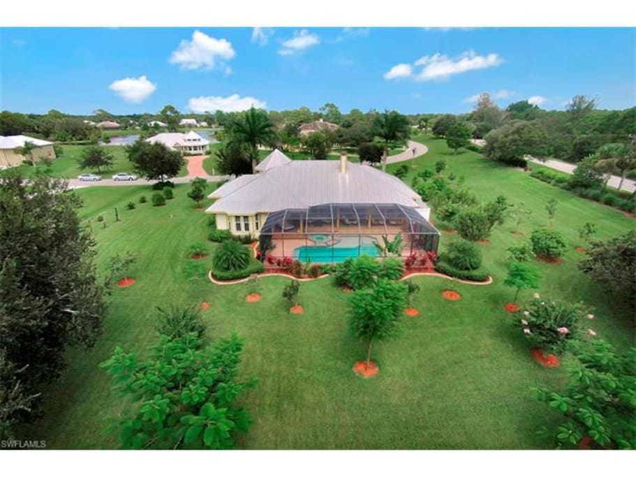 View over orchard and pool area
