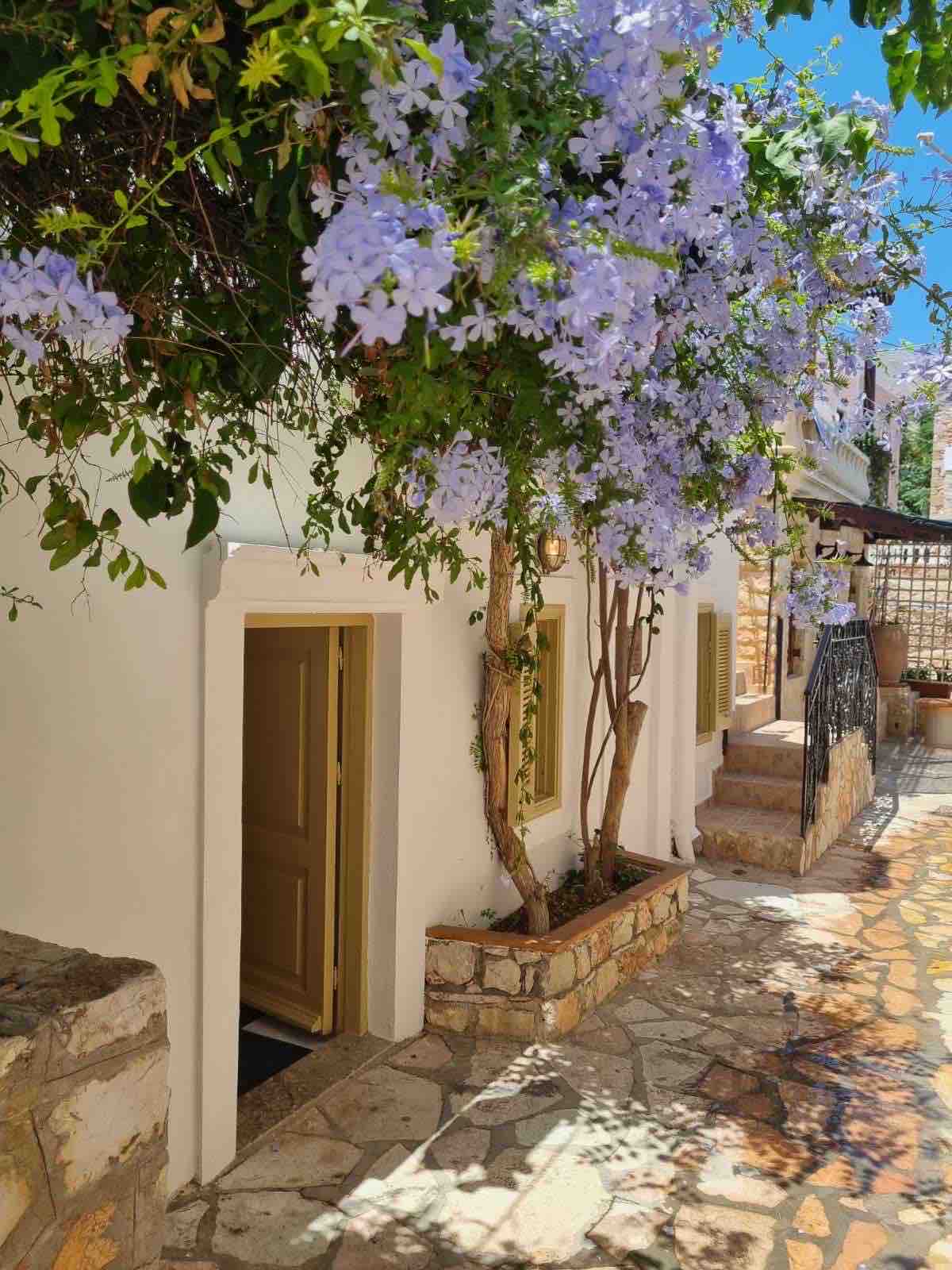 A classic island house is framed by vibrant flowering plants, showcasing purple blossoms against white walls. A welcoming entrance door is highlighted, leading to a stone pathway that connects to a charming outdoor space. Natural light enhances the serene and inviting surroundings.