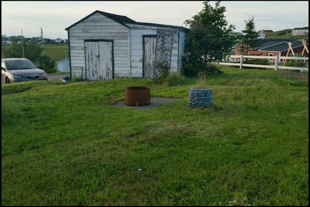 Our yard
