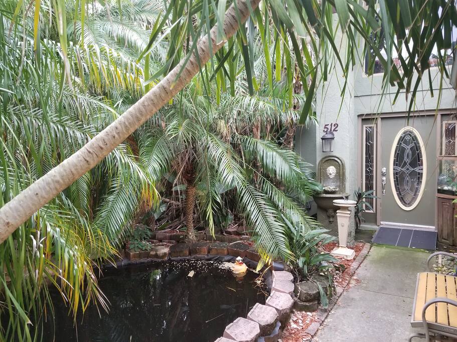 Very tropical pond in front