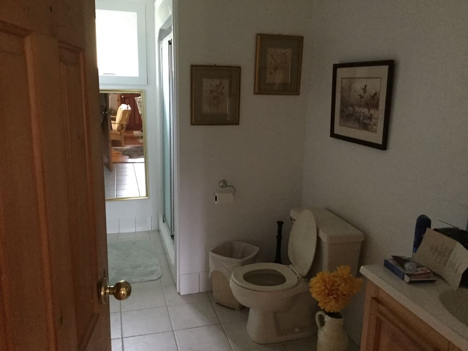 Bathroom is shared with another room and is next door.