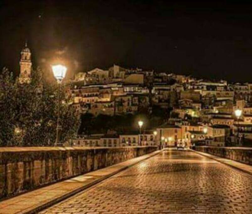 The Bridge of Donations night view